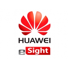 Опции Huawei eSight